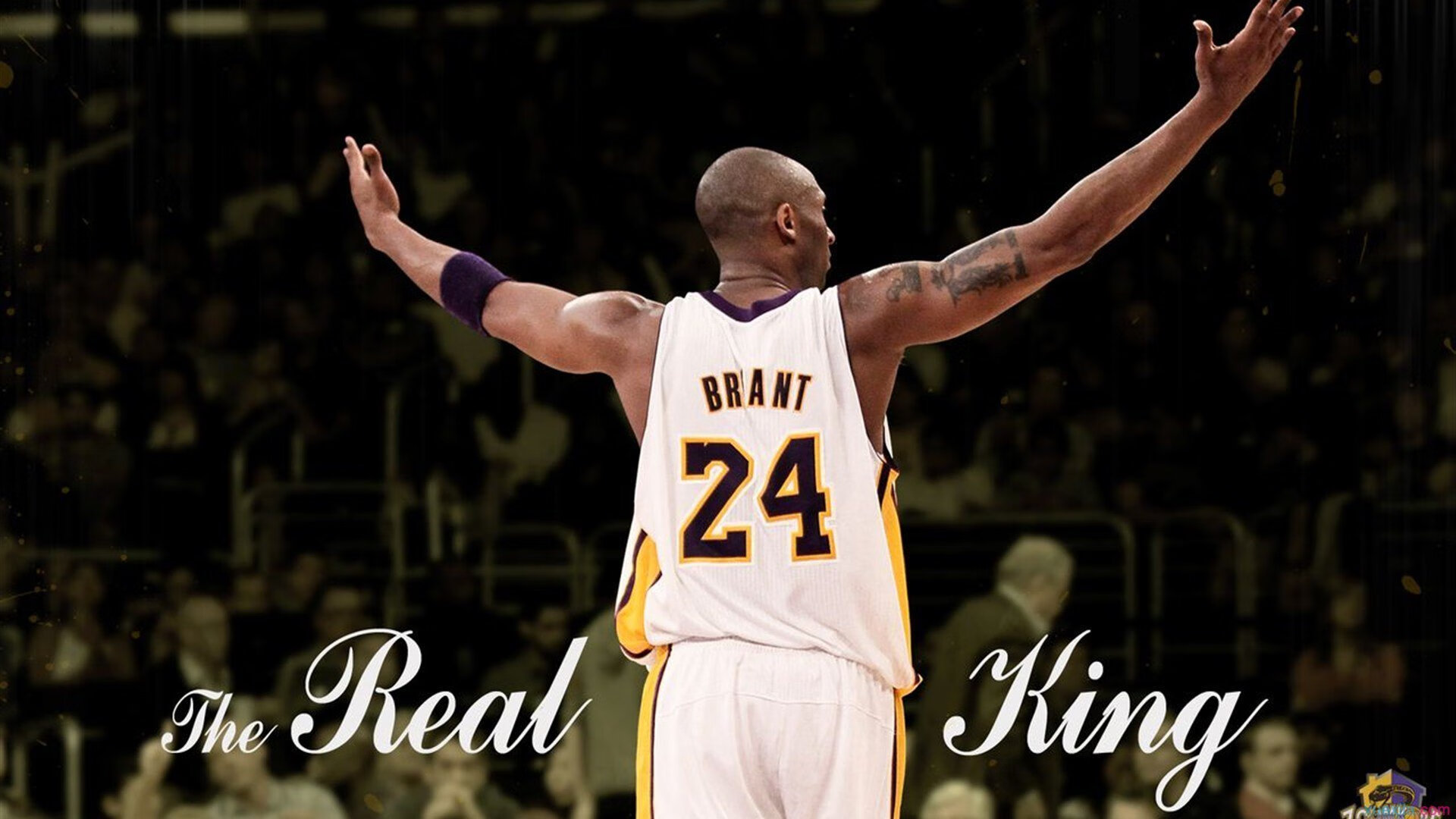 CBA劲旅迎来本赛季首胜,球迷热情高涨,篮球劲旅